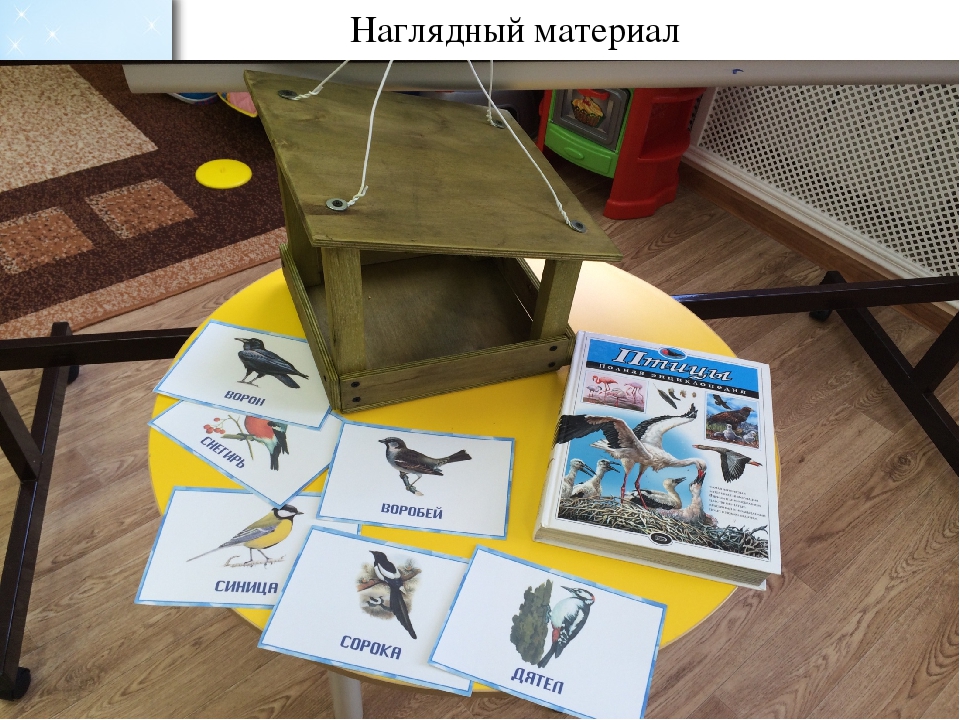 Проект во второй младшей группе по экологическому воспитанию "Зимующие птицы"