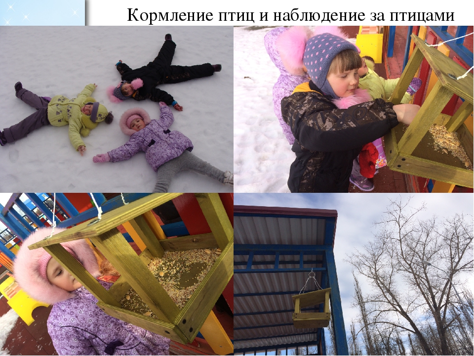 Проект во второй младшей группе по экологическому воспитанию "Зимующие птицы"