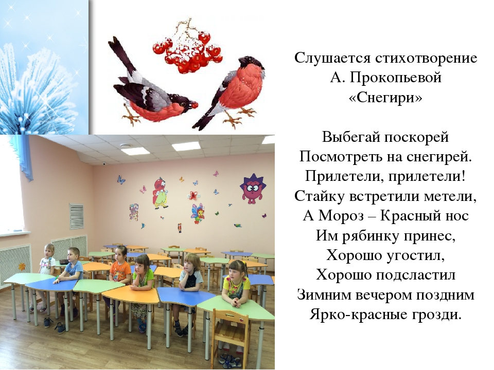 Проект во второй младшей группе по экологическому воспитанию "Зимующие птицы"