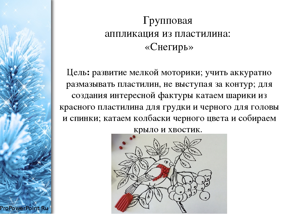 Проект во второй младшей группе по экологическому воспитанию "Зимующие птицы"