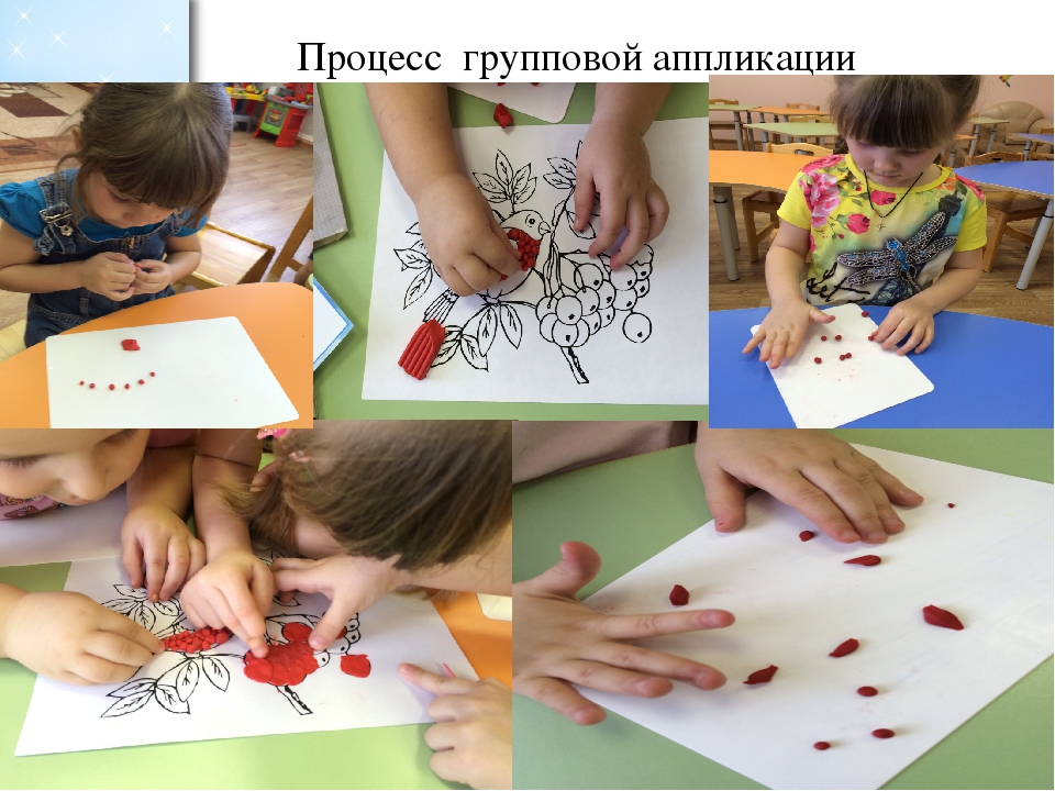 Проект во второй младшей группе по экологическому воспитанию "Зимующие птицы"