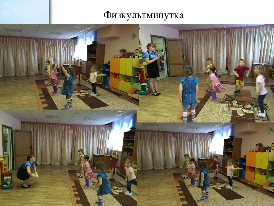 Проект во второй младшей группе по экологическому воспитанию "Зимующие птицы"