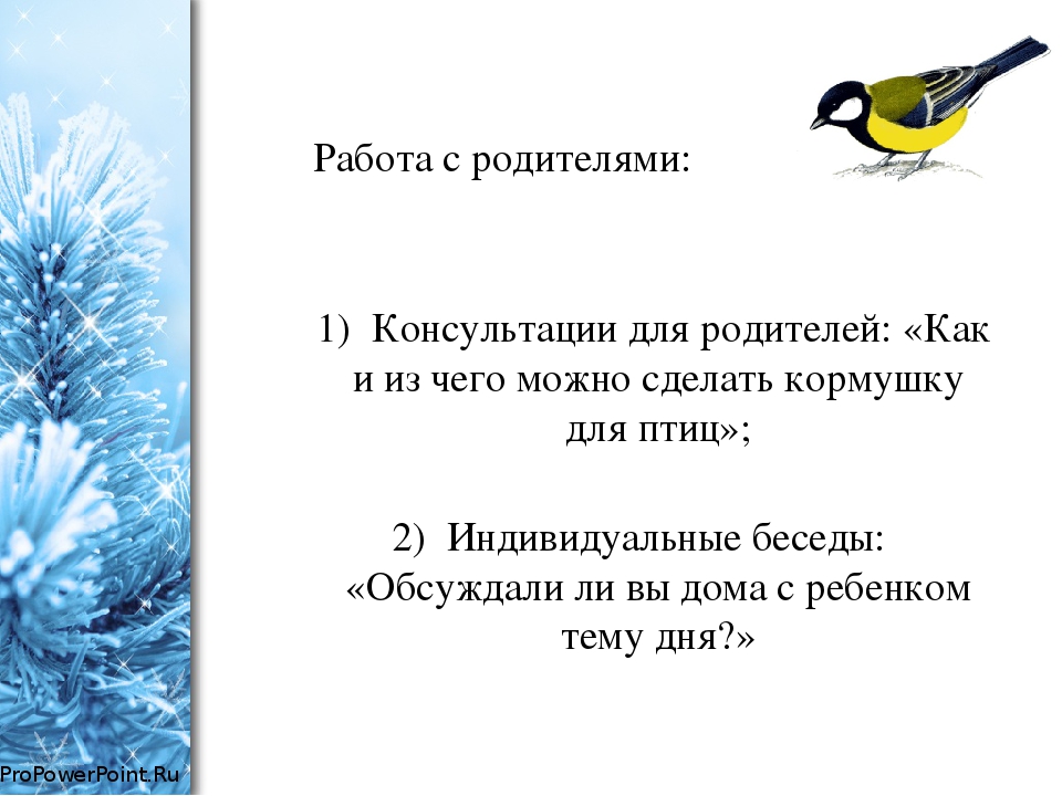 Проект во второй младшей группе по экологическому воспитанию "Зимующие птицы"