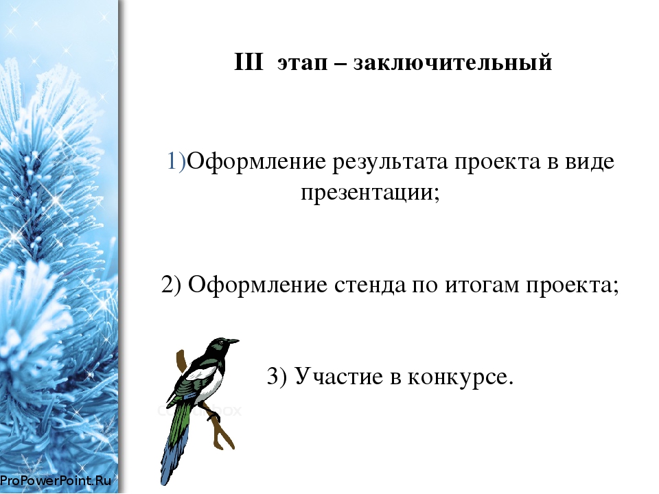 Проект во второй младшей группе по экологическому воспитанию "Зимующие птицы"