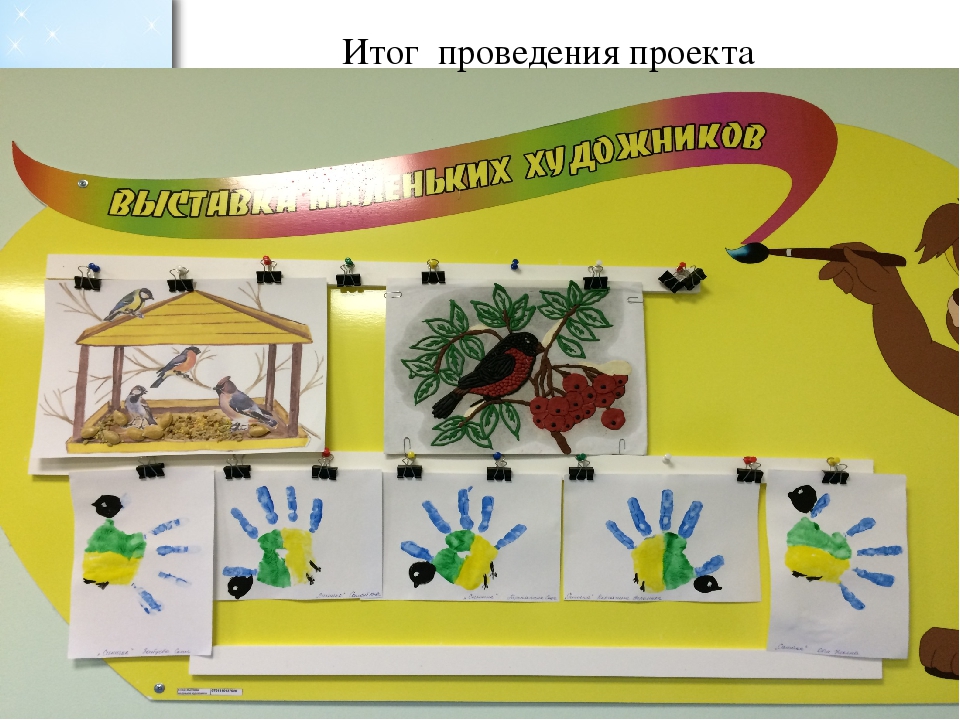 Проект во второй младшей группе по экологическому воспитанию "Зимующие птицы"