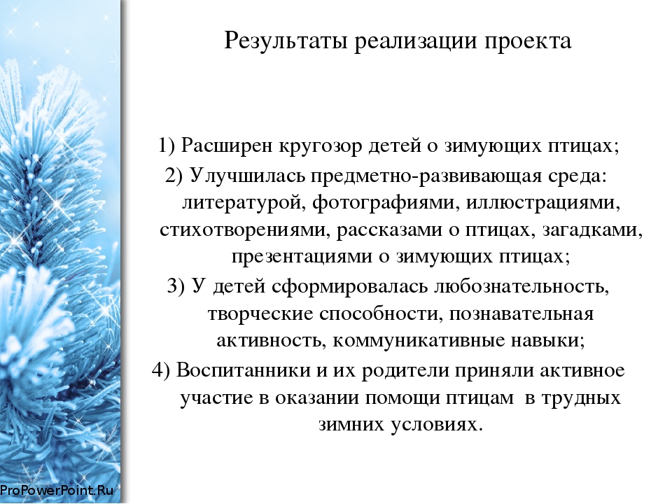 Проект во второй младшей группе по экологическому воспитанию "Зимующие птицы"