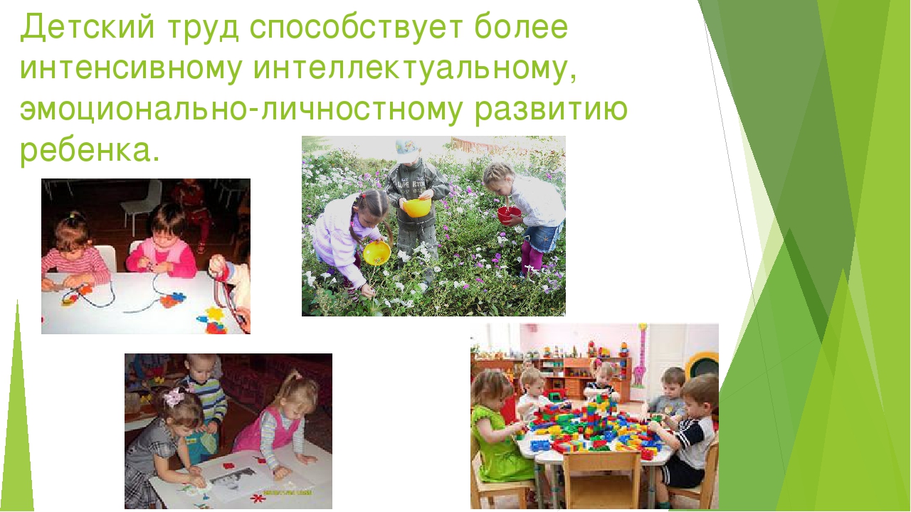 Презентация "Трудовое воспитание в ДОУ"