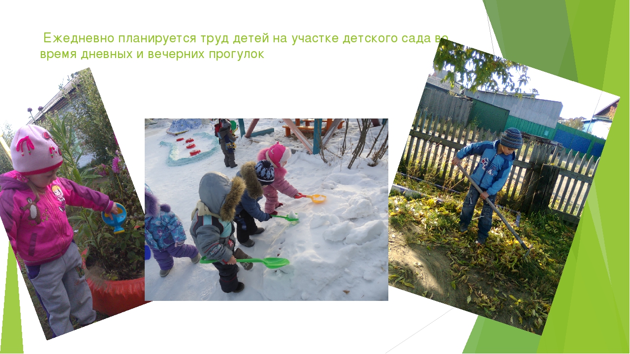 Презентация "Трудовое воспитание в ДОУ"