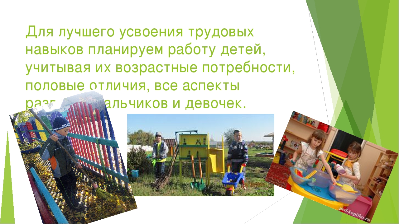 Презентация "Трудовое воспитание в ДОУ"