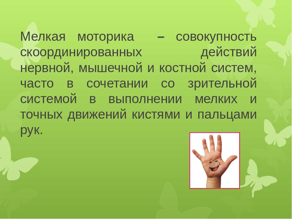 Презентация на тему "Развитие мелкой моторики"