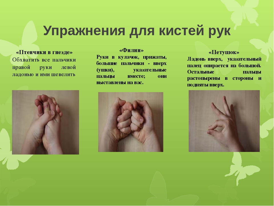 Презентация на тему "Развитие мелкой моторики"