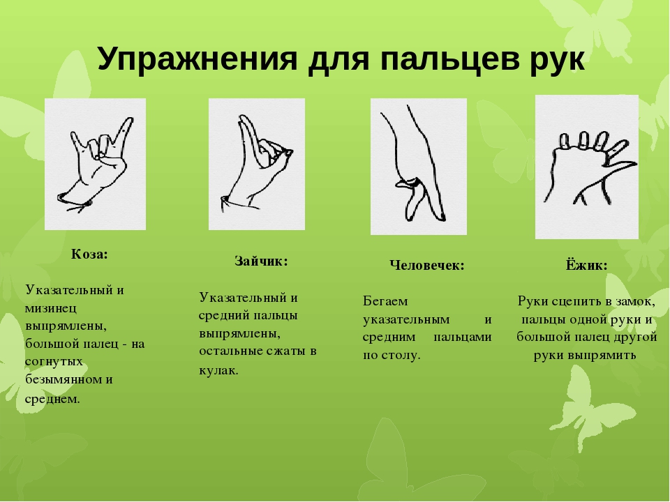 Презентация на тему "Развитие мелкой моторики"