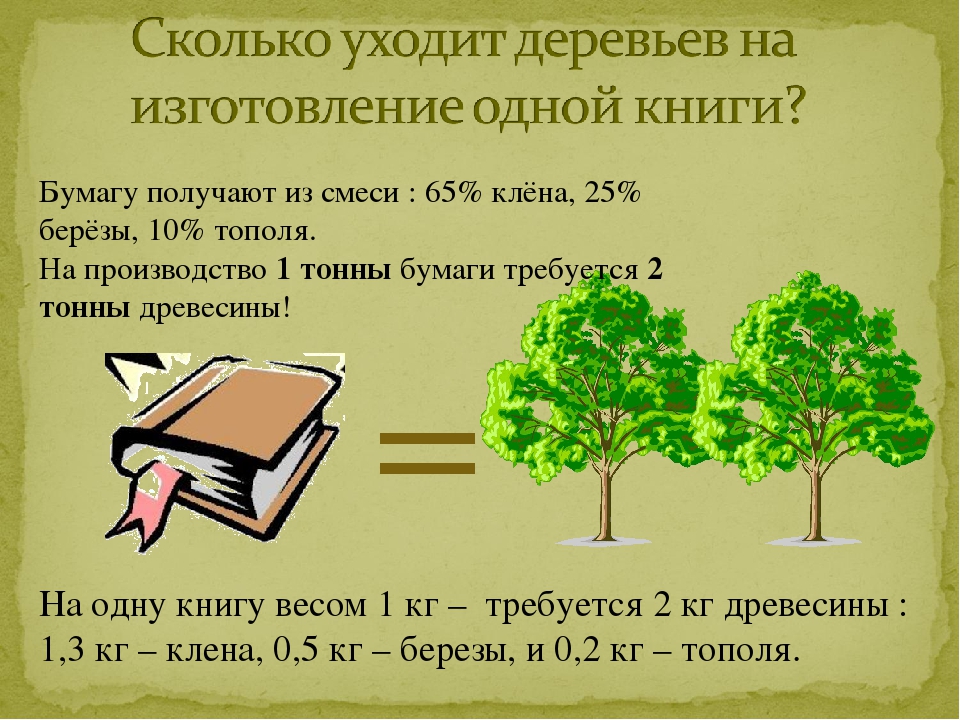 Презентация НОД ознакомление с окружающим миром "Берегите книгу" (подготовительная группа)