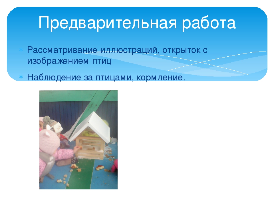 Презентация занятия в первой младшей группе "Веточка для птички"