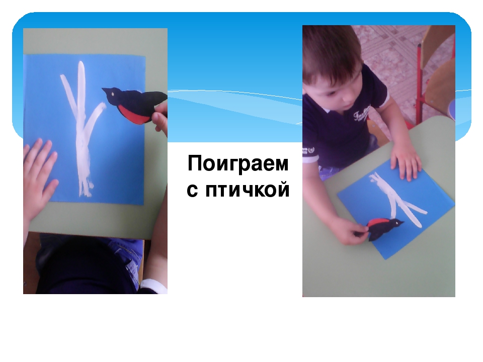 Презентация занятия в первой младшей группе "Веточка для птички"