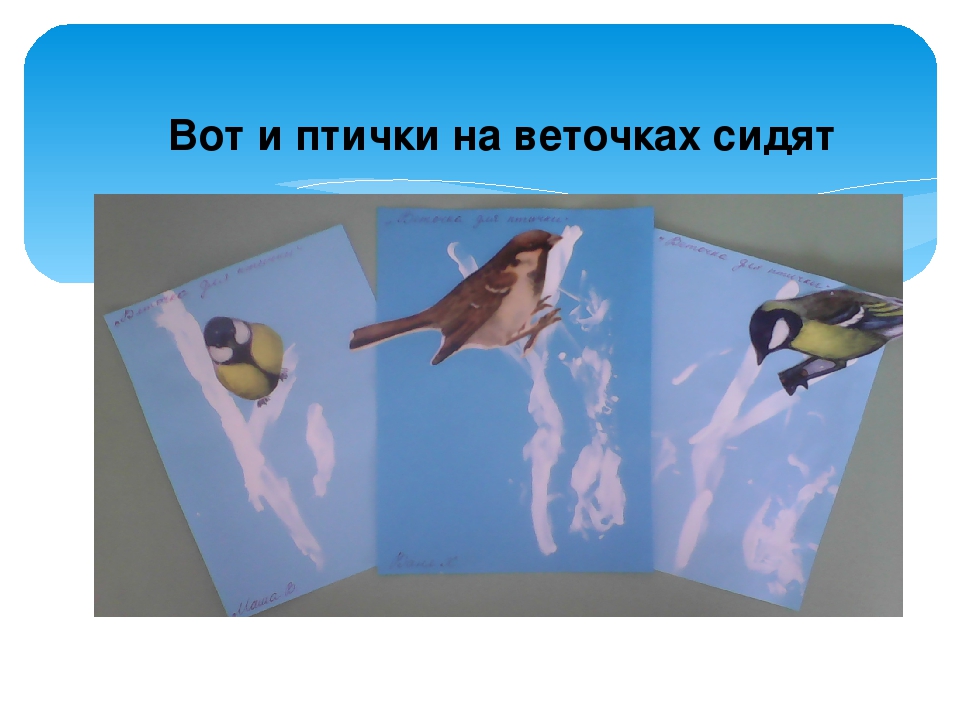 Презентация занятия в первой младшей группе "Веточка для птички"