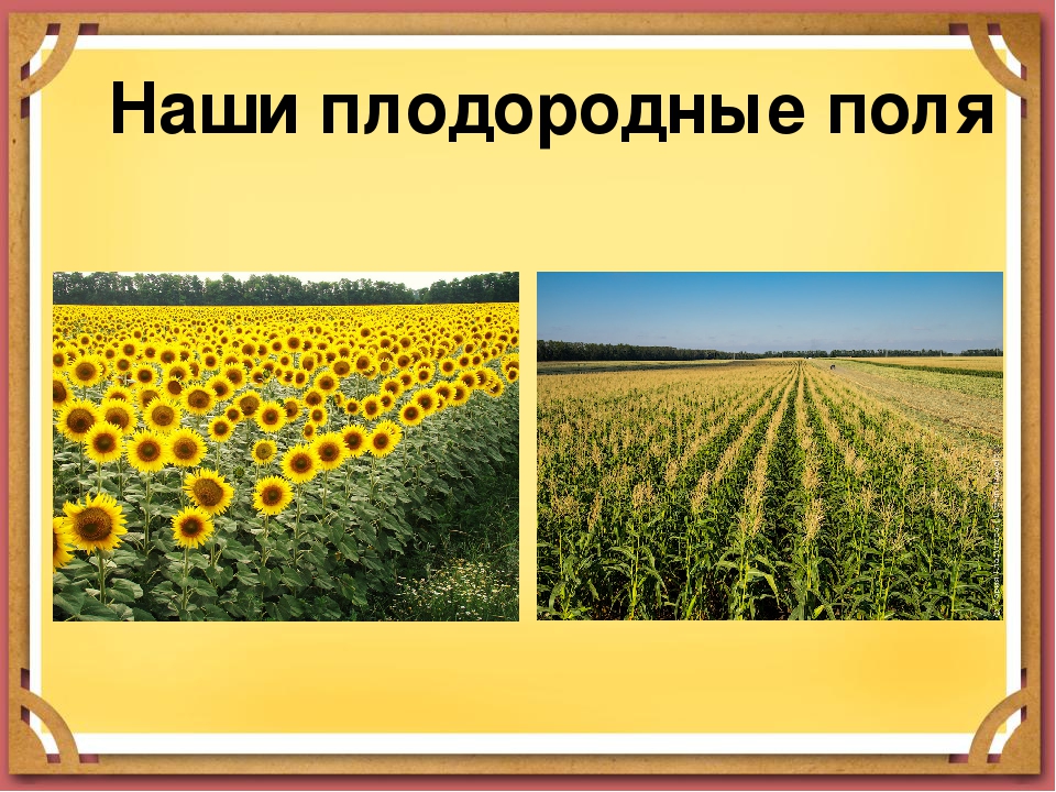 Презентация " Моя Кубанская станица Камышеватская"