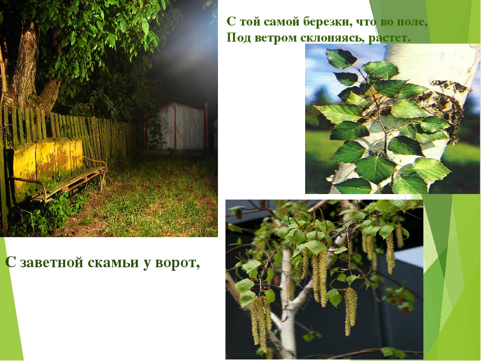 C чего начинается Родина?