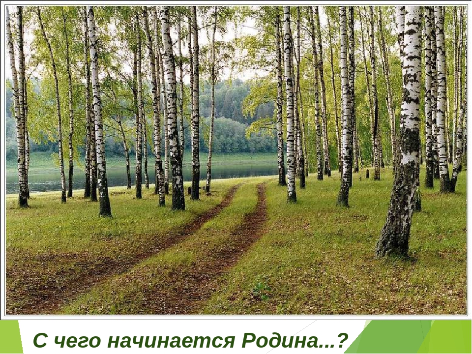 C чего начинается Родина?