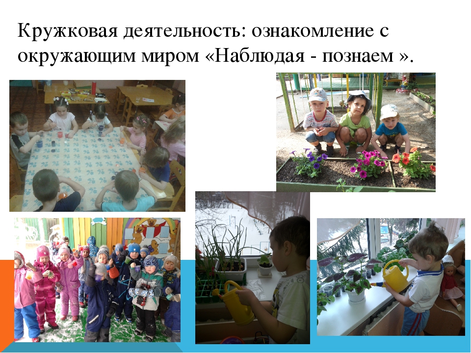 Проект по итогам года