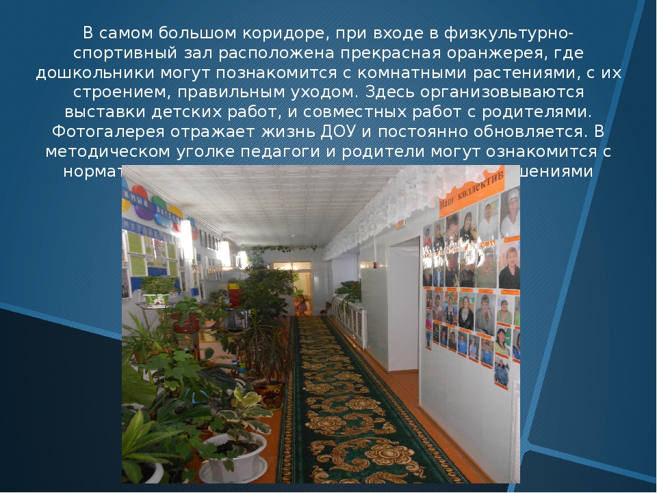 Презентация к статье "Предметно-развивающая среда ДОУ"