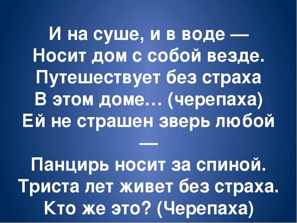Обитатели морей и океанов