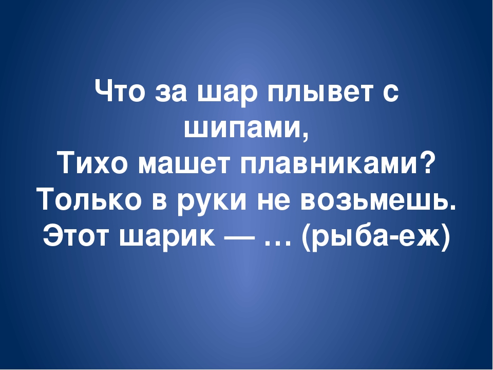 Обитатели морей и океанов