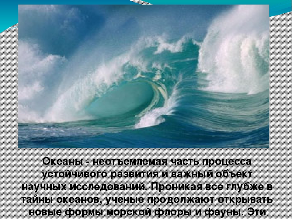 Презентация "Всемирный день океанов"