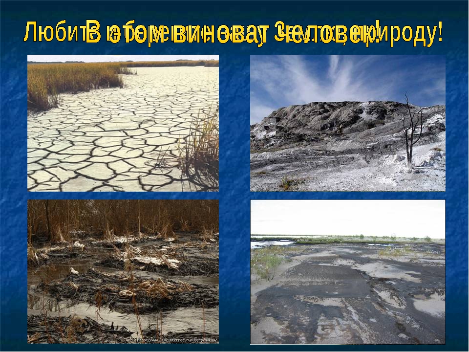 Презентация "Международный День Земли"