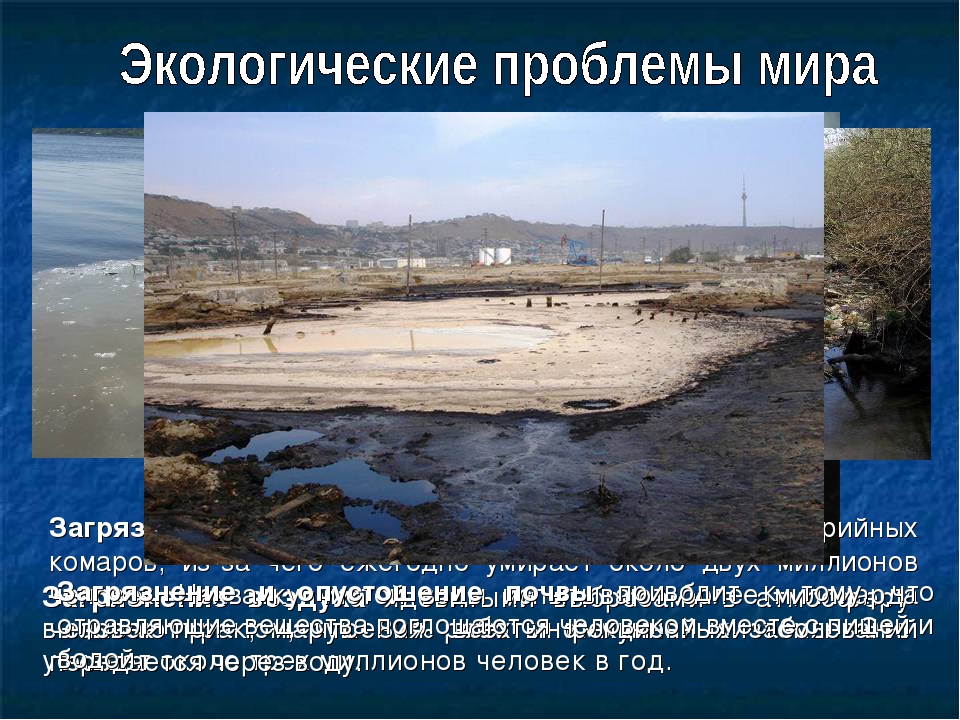 Презентация "Международный День Земли"