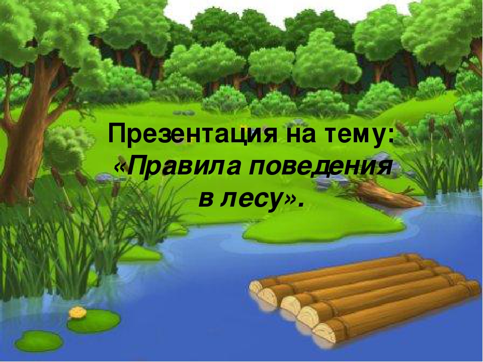 Презентация "Правила поведения в лесу"