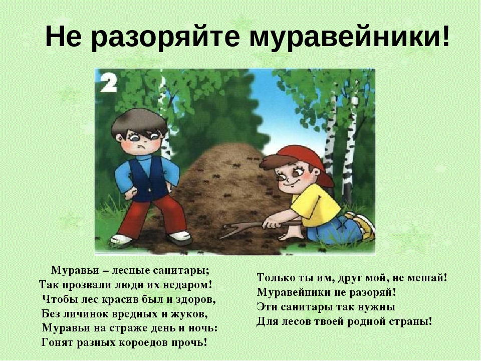 Презентация "Правила поведения в лесу"