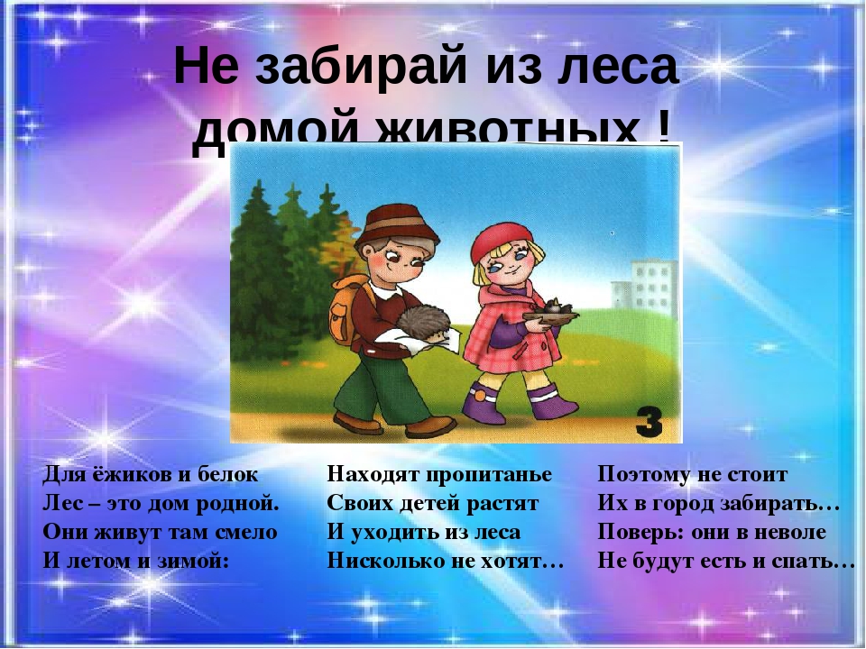 Презентация "Правила поведения в лесу"