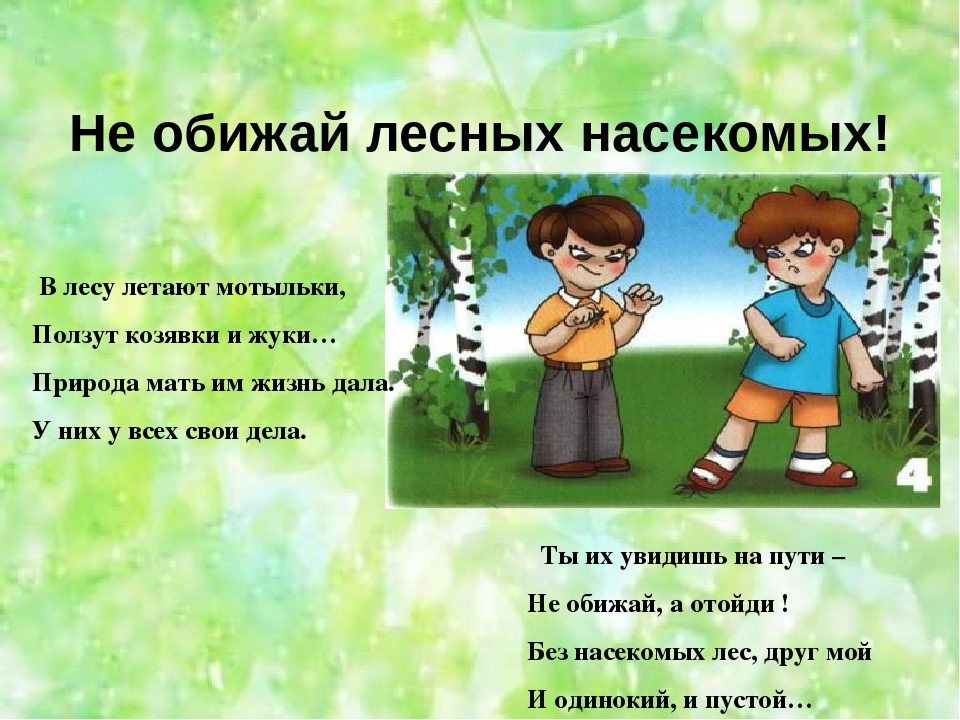 Презентация "Правила поведения в лесу"