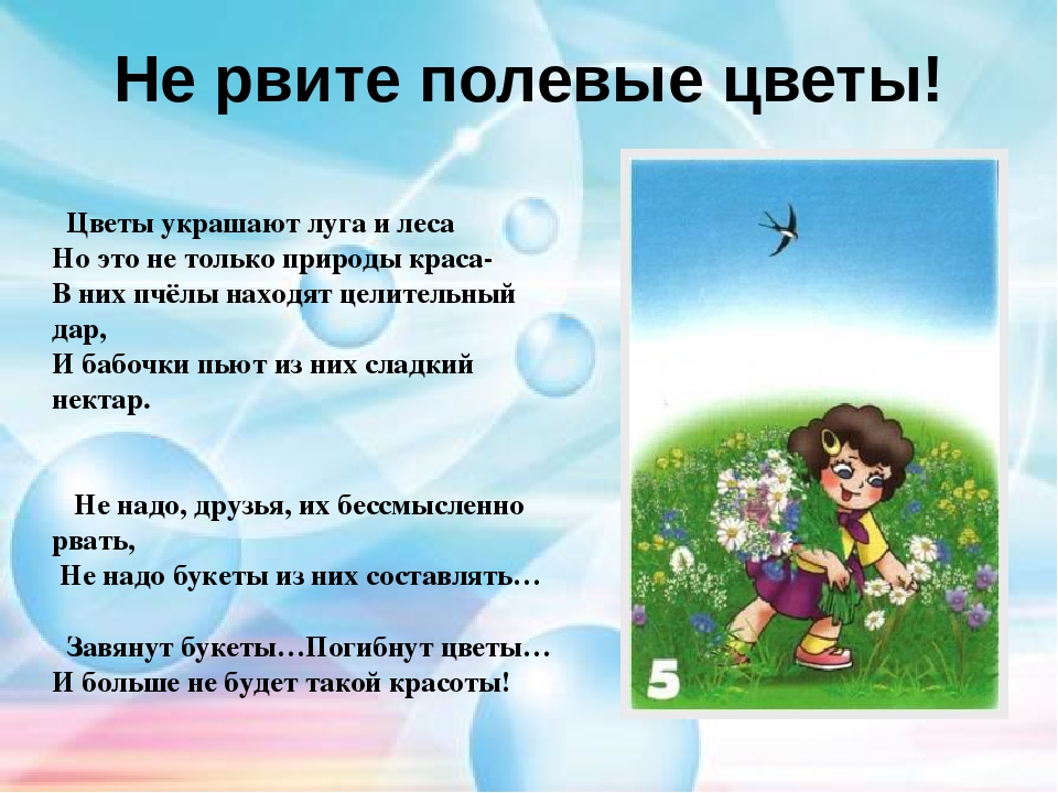 Презентация "Правила поведения в лесу"