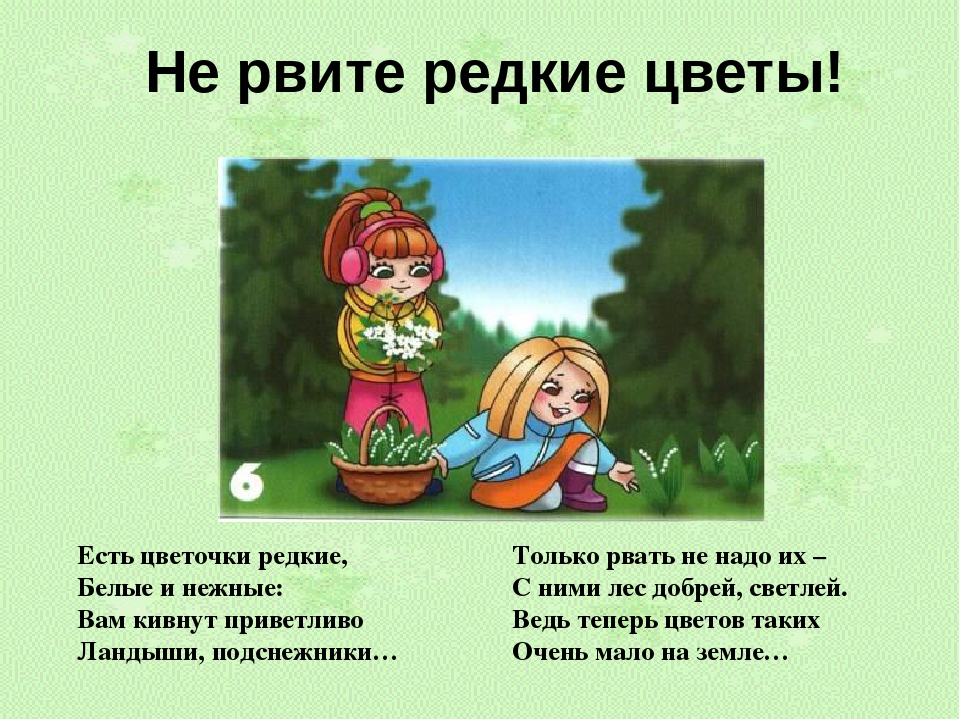 Презентация "Правила поведения в лесу"
