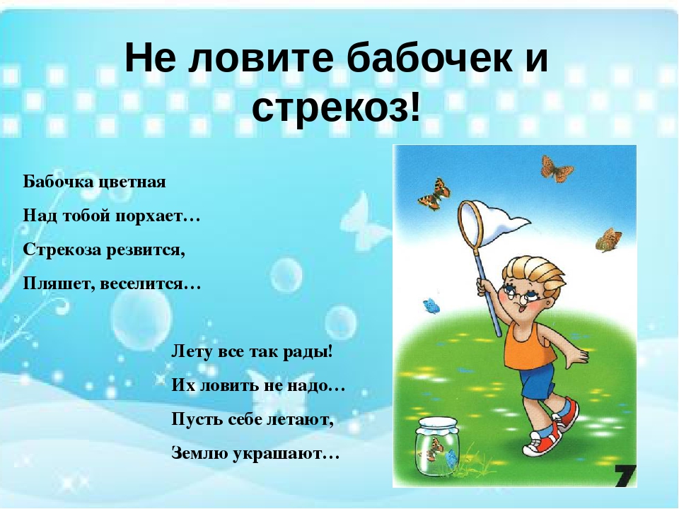 Презентация "Правила поведения в лесу"