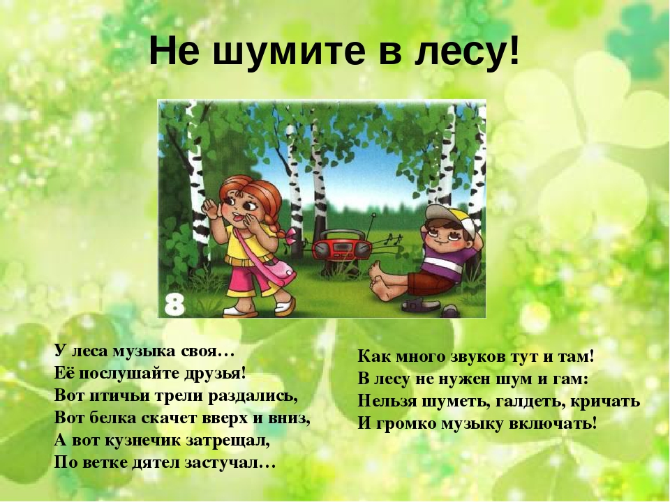 Презентация "Правила поведения в лесу"