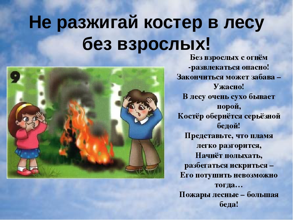 Презентация "Правила поведения в лесу"