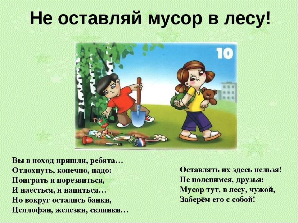 Презентация "Правила поведения в лесу"