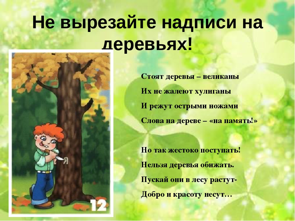 Презентация "Правила поведения в лесу"