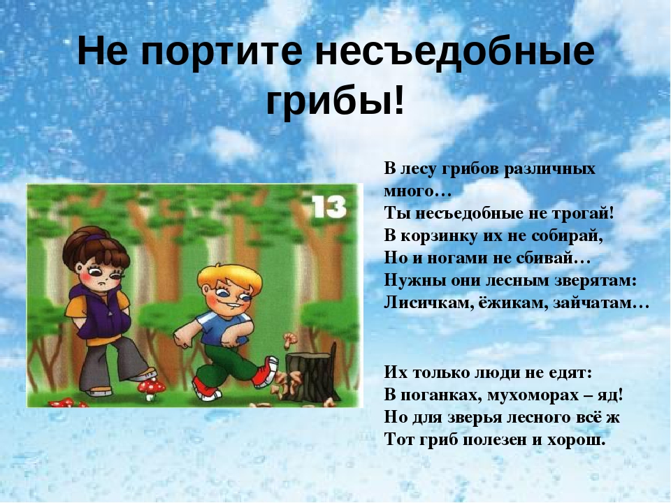 Презентация "Правила поведения в лесу"