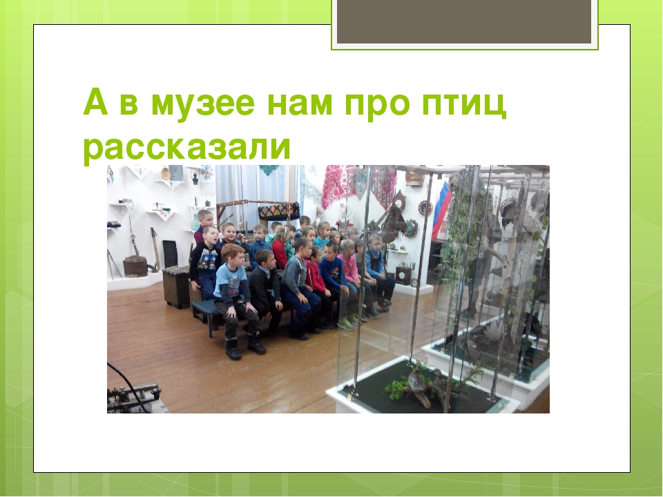 Презентация "Весна шатает по планете"(отчет о работе)