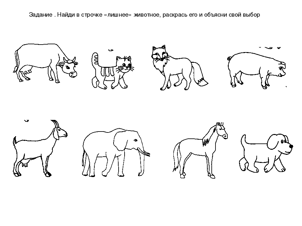 Домашние животные четвертый лишний картинки для детей