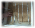 Picture 1