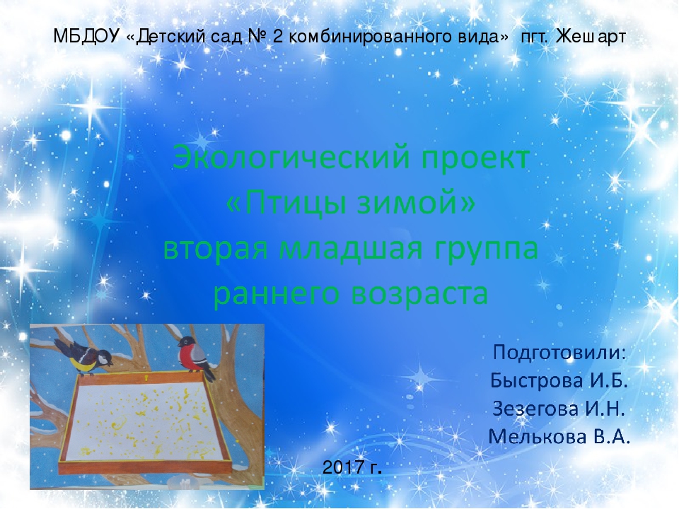 Презентация проекта "Птицы зимой" вторая младшая группа раннего возраста