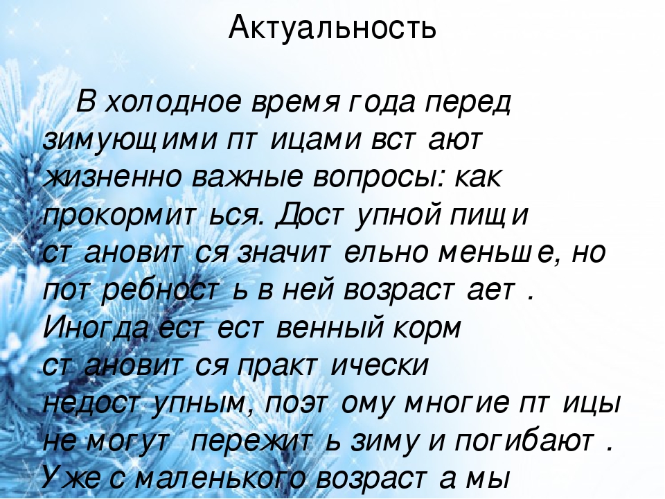 Презентация проекта "Птицы зимой" вторая младшая группа раннего возраста