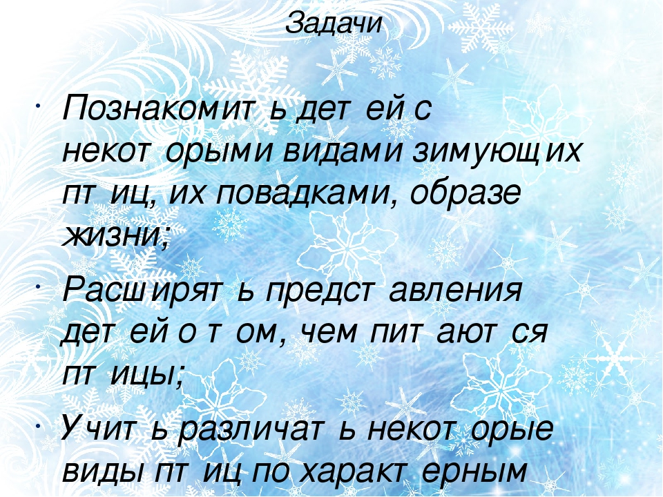 Презентация проекта "Птицы зимой" вторая младшая группа раннего возраста