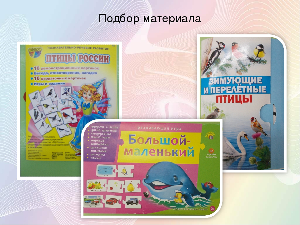 Презентация проекта "Птицы зимой" вторая младшая группа раннего возраста