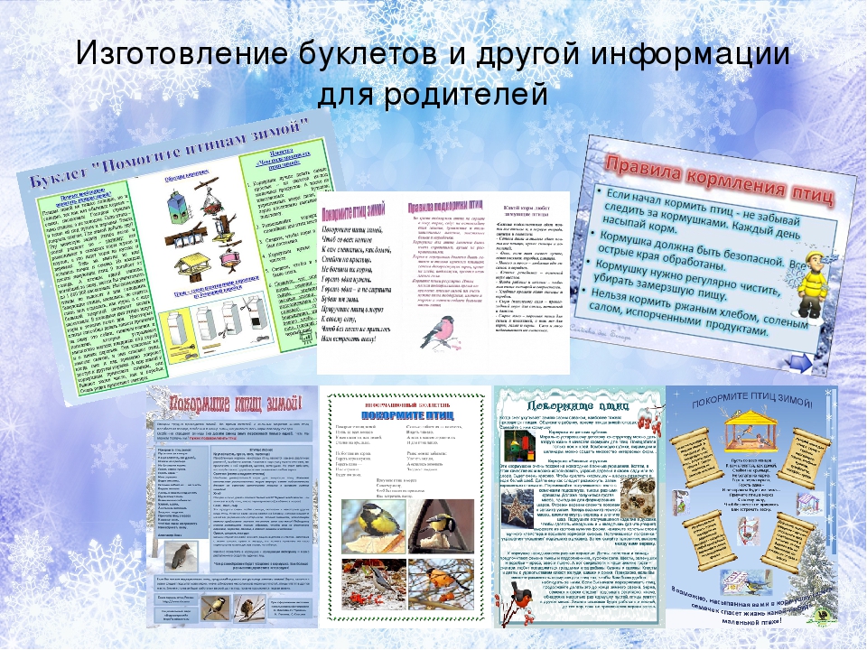 Презентация проекта "Птицы зимой" вторая младшая группа раннего возраста